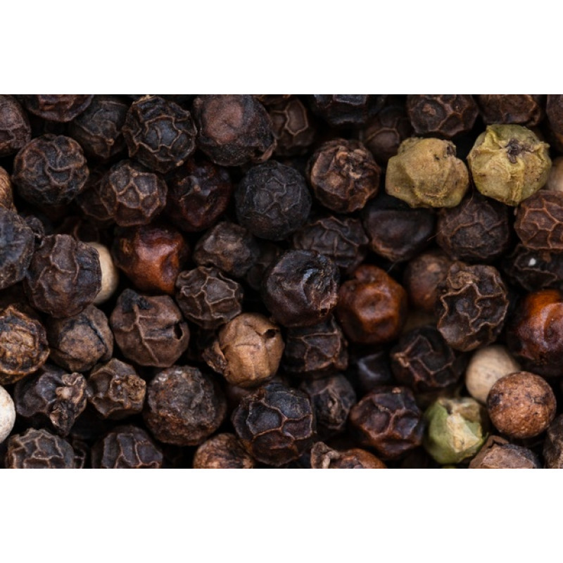 6 LongeVita em Cápsulas (120 cápsulas, 500mg)