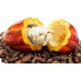 Auxiliar Depressão - Cúrcuma + Cacau + Guaraná e Alecrim - 120 caps - 600mg Auxiliar Depressão - Cúrcuma + Cacau + Guaraná e Alecrim - 120 caps - 600mg