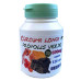Extrato artesanal Cúrcuma + Própolis 3 potes de 120 cápsulas 600mg (Açafrão) Cúrcuma longa extrato seco com 5% de própolis verde  Extrato artesanal Cúrcuma + Própolis 3 potes de 120 cápsulas 600mg (Açafrão) Cúrcuma longa extrato seco com 5% de própolis verde