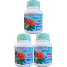 Extrato artesanal Cúrcuma + Erva Baleeira  ARTICULAFLEX - 3 potes de 120 caps - 500mg