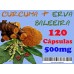 Extrato artesanal Cúrcuma + Erva Baleeira  ARTICULAFLEX - 3 potes de 120 caps - 500mg Extrato artesanal Cúrcuma + Erva Baleeira  ARTICULAFLEX - 3 potes de 120 caps - 500mg