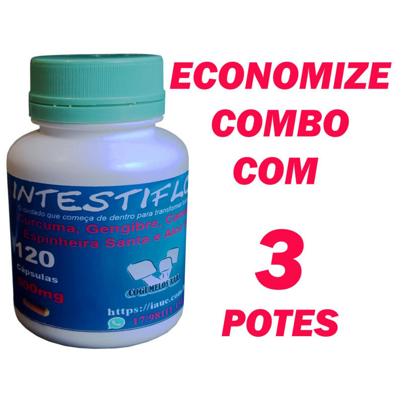 3 Intestiflor - Cúrcuma, Gengibre, Camomila, Espinheira Santa e Aloe Vera em Cápsulas (3 potes de 120 cápsulas, 500mg)