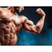 Mens Power - Feno Grego, Maca peruana e Ginseng - 1 pote de 120 cápsulas 600mg Mens Power - Feno Grego, Maca peruana e Ginseng - 1 pote de 120 cápsulas 600mg