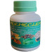 1 Vermeclean artesanal - “Semente de Abóbora, Erva Sta Maria, Semente de Mamão, Gengibre, Cravo e Cúrcuma em Cápsulas (120 cápsulas, 500mg)