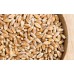 Auxiliar Natural artesanal para Ansiedade - Mulungo, Maracujá, Melissa, Camomila e Levedura de Cerveja - 3 potes de 120 Cápsulas de 350mg Auxiliar Natural artesanal para Ansiedade - Mulungo, Maracujá, Melissa, Camomila e Levedura de Cerveja - 3 potes de 120 Cápsulas de 350mg